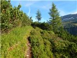 Parkplatz Innerfragant - Duisburger Hütte